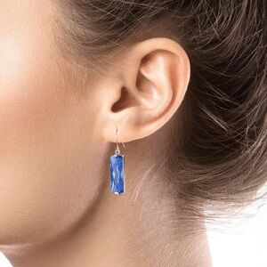 Piper & Taylor Solid Multi-Faceted Elegant Blue Crystal Drop Earrings